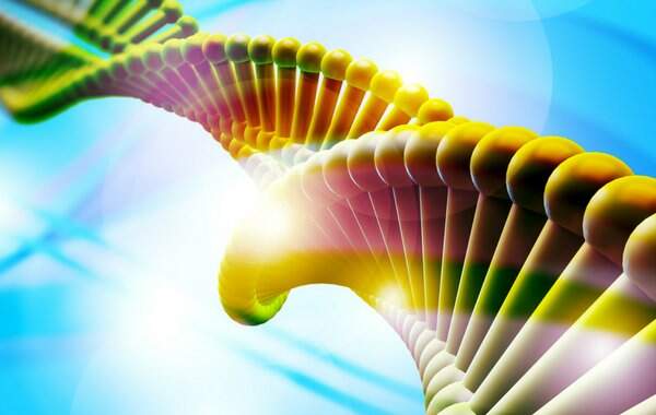 DNA verde e amarelo na genética