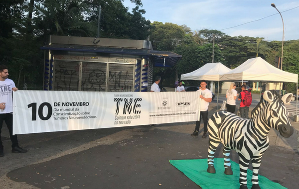 Campanha com zebra na rua que alerta para câncer raro movimenta São Paulo (SP)