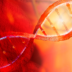 Novo ambulatório no HC deve aprimorar a identificação de doenças genéticas graves