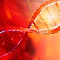 Novo ambulatório no HC deve aprimorar a identificação de doenças genéticas graves