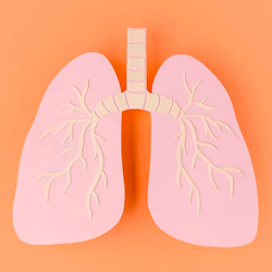 Fibrose cística: do passado de incertezas ao presente de avanços