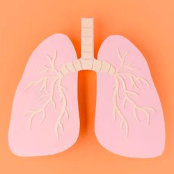 Fibrose cística: do passado de incertezas ao presente de avanços